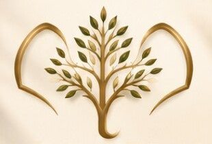 Logo Le D.Thai